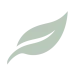 evo-logo-leaf